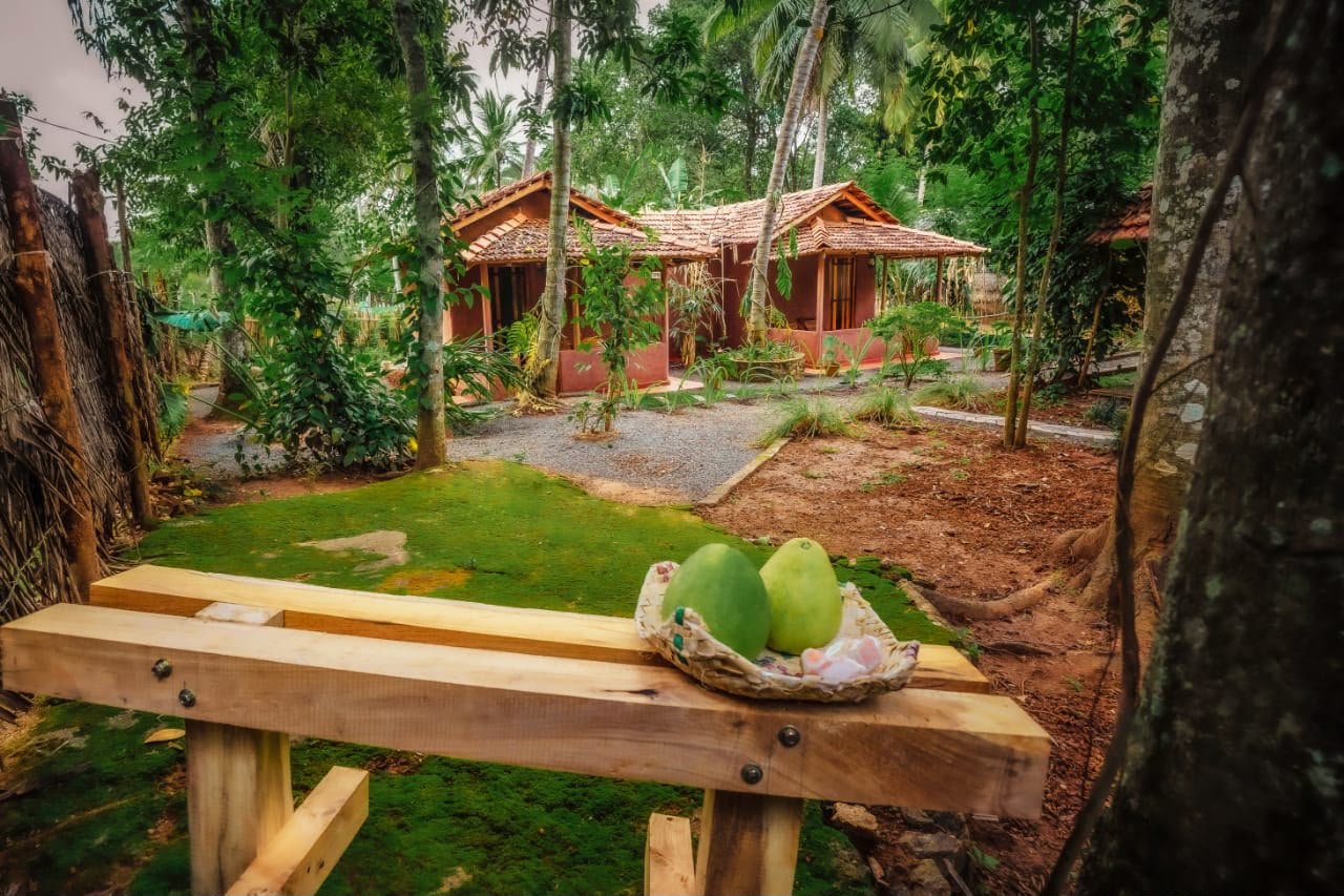 Little Cabana garden